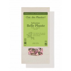 Belle Plante