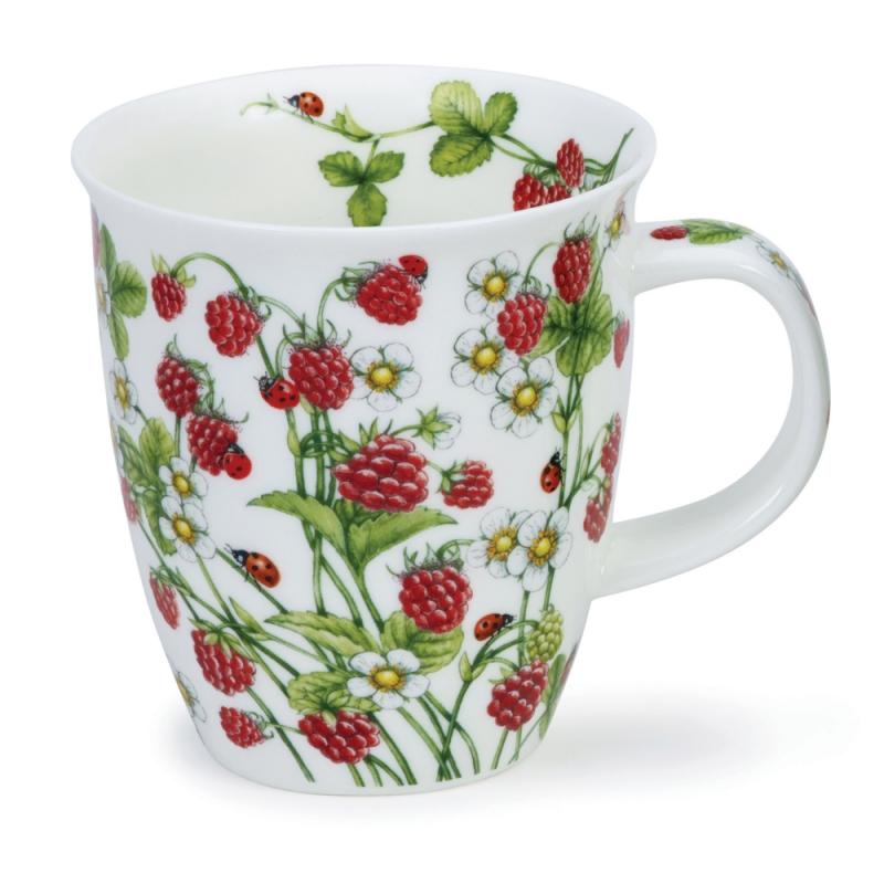 NEVIS 0.48L WILD FRUITS RASPBERRY