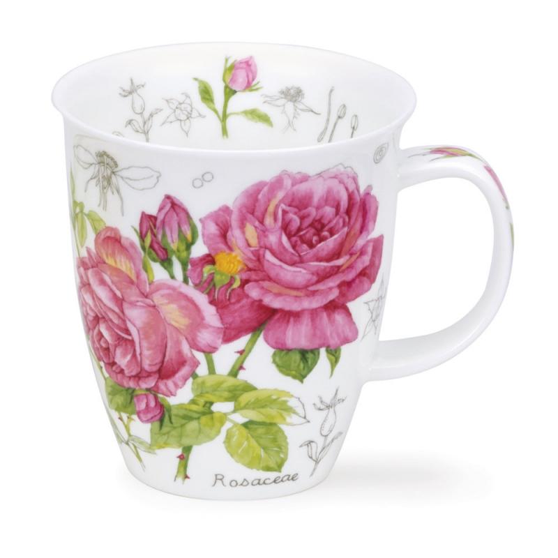 NEVIS 0.48L FLORAL SKETCH ROSA
