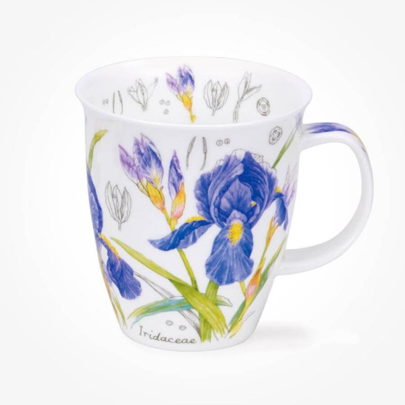 NEVIS 0.48L FLORAL SKETCH IRIS 