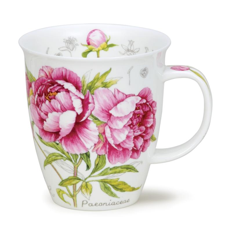 NEVIS 0.48L B. SKETCH PEONY
