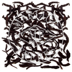 Orange Angélique - Vrac