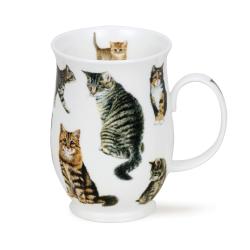 SUFF 0.31L CATS TABBY