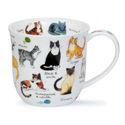 CUMBRAE 0.45L CAT BREEDS