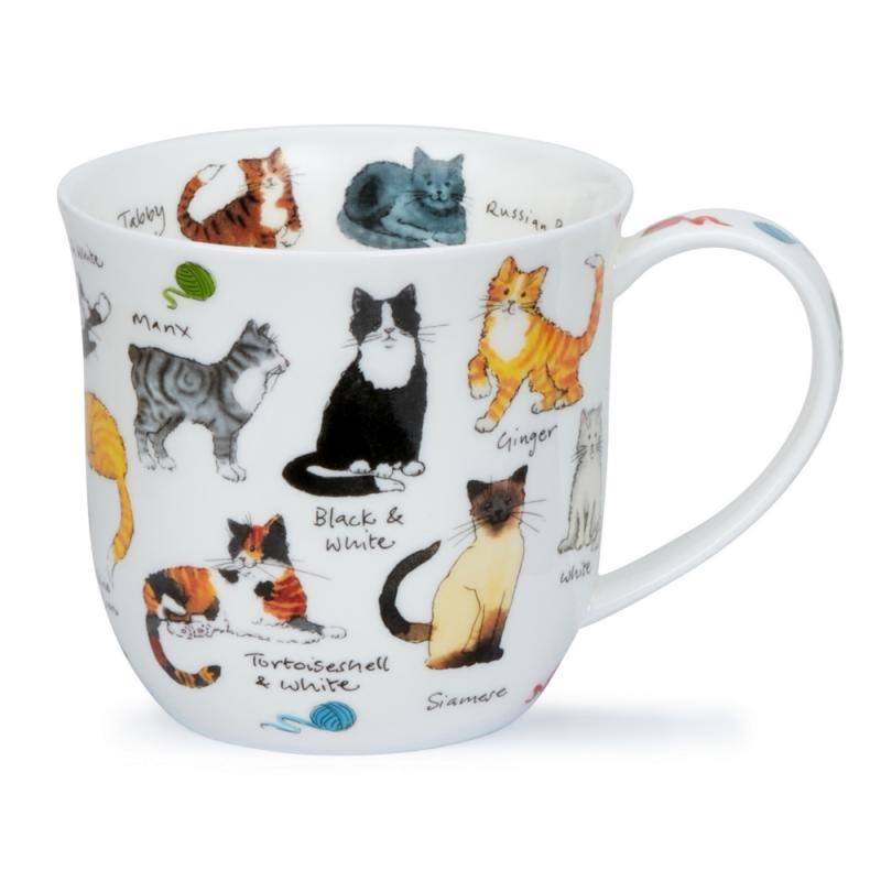 CUMBRAE 0.45L CAT BREEDS