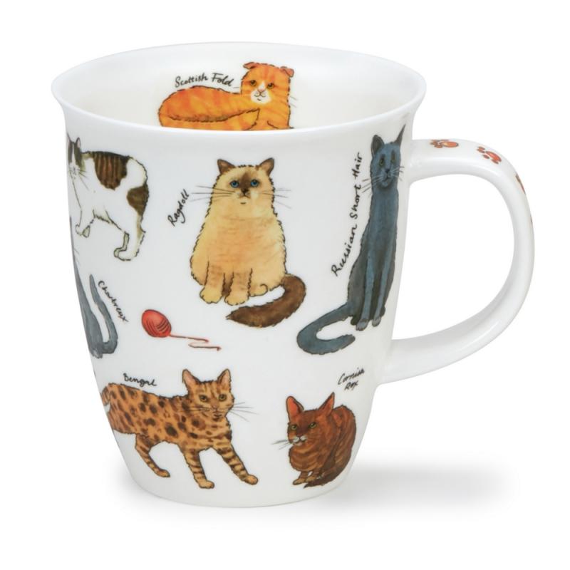 NE 0.48L DESIGNER CATS