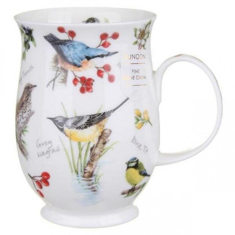 SUF 0.31L DAWN SONG NUTHATCH