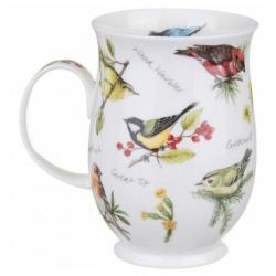 SUF 0.31L DAWN SONG NUTHATCH