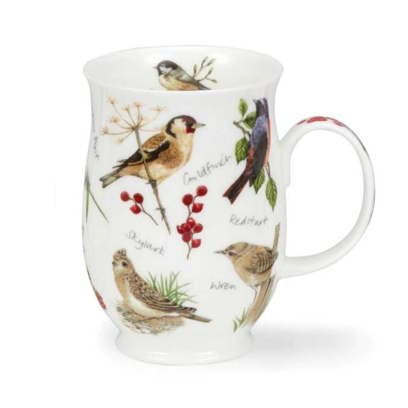 SUF 0.31L DAWN SONG GOLDFINCH