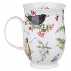 SUF 0.31L DAWN SONG GOLDFINCH