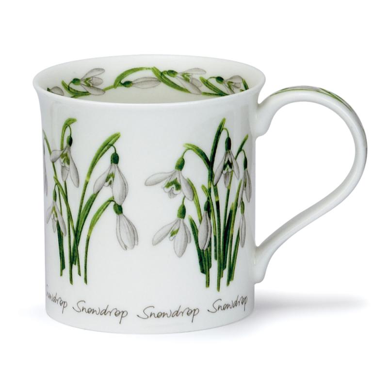 BU 0.30L SPRING FLOWERS SNOWDROP