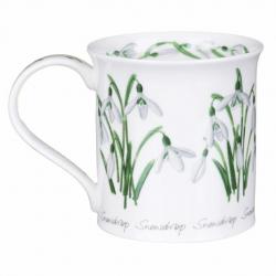 BU 0.30L SPRING FLOWERS SNOWDROP